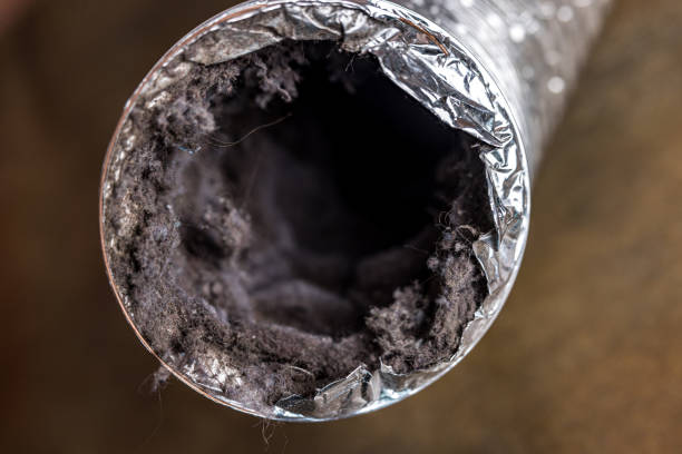 Best Air Duct Cleaning Near Me  in Amherst, OH